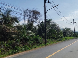  Grundstück zu verkaufen in Thalang, Phuket, Si Sunthon