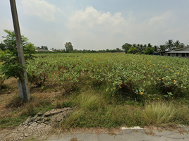  Grundstück zu verkaufen in Don Tum, Nakhon Pathom, Ban Luang, Don Tum