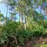  Land for sale in Tegucigalpa Francisco Morazan, Tegucigalpa, Francisco Morazan