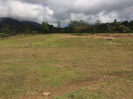  Land for sale in Alajuela, Upala, Alajuela