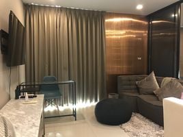 1 Schlafzimmer Wohnung zu vermieten im Tree Condo Sukhumvit 50, Phra Khanong