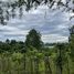  Land for sale in Huai Sai, Chiang Mai, Huai Sai, Mae Rim