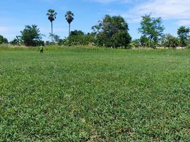  Grundstück zu verkaufen in Nong Chang, Uthai Thani, Thung Pho