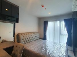 1 Schlafzimmer Appartement zu vermieten im Life Asoke Rama 9, Makkasan