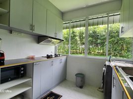 2 Bedroom House for rent in Sakhu, Thalang, Sakhu