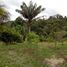  Land for sale in Brazil, Benjamin Constant, Amazonas, Brazil