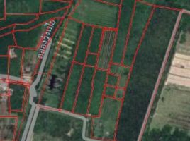  Land for sale in Pho Thong, Tha Sala, Pho Thong
