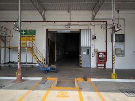  Warehouse for rent in Si Sunthon, Thalang, Si Sunthon