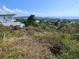  Land for sale in Surat Thani, Bo Phut, Koh Samui, Surat Thani