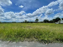  Land for sale in Khua Mung, Saraphi, Khua Mung