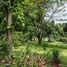 4 Bedroom House for sale in Doi Saket Chiang Mai, Mae Pong, Doi Saket, Chiang Mai