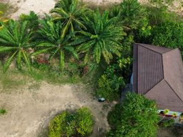 2 Schlafzimmer Haus zu verkaufen in Thai Mueang, Phangnga, Thung Maphrao