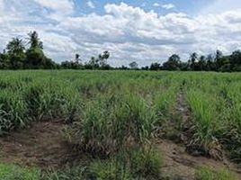  Grundstück zu verkaufen in Si Thep, Phetchabun, Sa Kruat