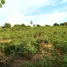  Land for sale in Ghana, Akwapim South, Eastern, Ghana