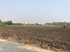  Land for sale in Mueang Nakhon Pathom, Nakhon Pathom, Phrong Maduea, Mueang Nakhon Pathom