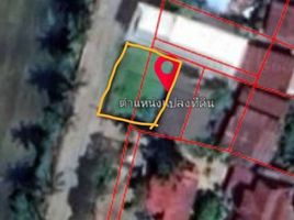  Land for sale in Nan, Fai Kaeo, Phu Phiang, Nan