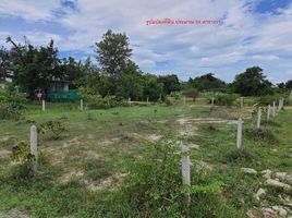  Grundstück zu verkaufen in Hua Hin, Prachuap Khiri Khan, Thap Tai