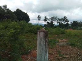  Land for sale in Phuket, Si Sunthon, Thalang, Phuket