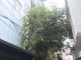 4 Schlafzimmer Haus zu verkaufen in Binh Thanh, Ho Chi Minh City, Ward 6