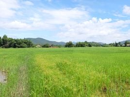  Grundstück zu verkaufen in San Sai, Chiang Mai, Nong Yaeng, San Sai