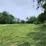  Land for sale in Thep Krasattri, Phuket, Thep Krasattri, Thalang