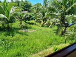  Land for sale in Thalang, Phuket, Pa Khlok, Thalang