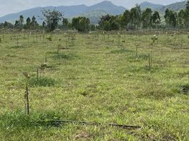  Land for sale in Kanchanaburi, Nong Pradu, Lao Khwan, Kanchanaburi