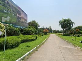  Land for sale at Summit Green Valley , Mae Sa