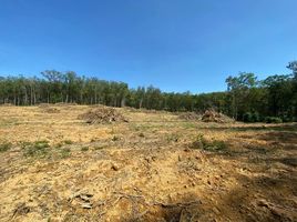  Land for sale in Thalang, Phuket, Pa Khlok, Thalang