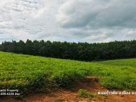 ขายที่ดิน ใน เมืองเชียงราย เชียงราย, แม่ข้าวต้ม