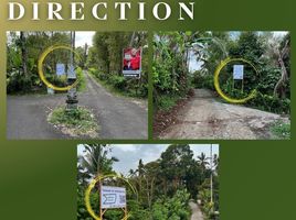  Land for sale in Tabanan, Bali, Selemadeg, Tabanan