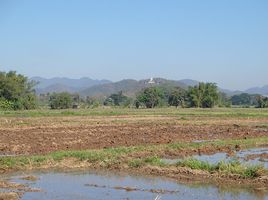  Земельный участок for sale in Nong Yaeng, Сан Саи, Nong Yaeng