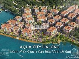 Studio Villa zu verkaufen in Ha Long, Quang Ninh, Hung Thang