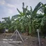  Land for sale in Lak Si Bangkok, Thung Song Hong, Lak Si, Bangkok