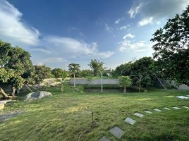 2 Schlafzimmer Haus zu verkaufen in Doi Saket, Chiang Mai, Luang Nuea, Doi Saket