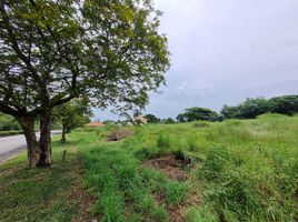  Land for sale at Palm Hills Golf Club and Residence, Cha-Am, Cha-Am, Phetchaburi