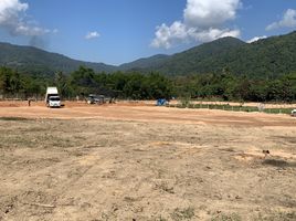  Land for sale in Chiang Rai, Nang Lae, Mueang Chiang Rai, Chiang Rai