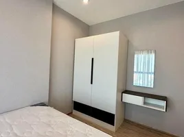 1 Bedroom Condo for rent at The Tree Hua-Mak, Hua Mak