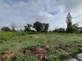  Land for sale in Kamphaeng Saen, Nakhon Pathom, Thung Luk Nok, Kamphaeng Saen