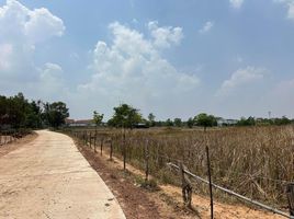  Land for sale in Kantharawichai, Maha Sarakham, Tha Khon Yang, Kantharawichai