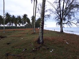  Grundstück zu verkaufen in Sichon, Nakhon Si Thammarat, Sao Phao, Sichon, Nakhon Si Thammarat, Thailand