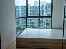 1 Bedroom Condo for rent at The Excel Hideaway Sukhumvit 50, Phra Khanong, Khlong Toei