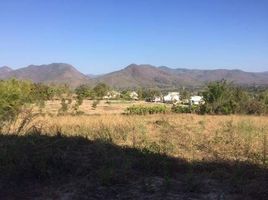  Land for sale in Thung Yao, Pai, Thung Yao