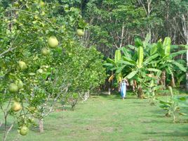 ขายที่ดิน ใน ทองผาภูมิ กาญจนบุรี, ลิ่นถิ่น