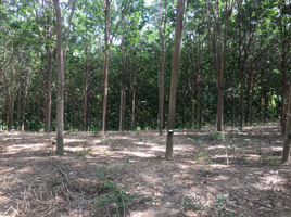  Land for sale in Phitsanulok, Nong Kathao, Nakhon Thai, Phitsanulok