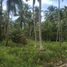  Land for sale in Surat Thani, Lipa Noi, Koh Samui, Surat Thani