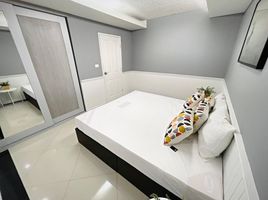 อพาร์ทเม้นท์ 3 ห้องนอน ให้เช่า ในโครงการ เดอะ วอเตอร์ฟอร์ด สุขุมวิท 50, พระโขนง