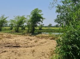  Land for sale in Mueang Chiang Rai Chiang Rai, Doi Hang