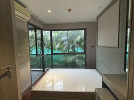 1 Bedroom Condo for rent at The Senate Residences, Nong Prue