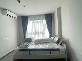 1 спален Кондо в аренду в Ideo Chula - Samyan, Si Phraya, Банг Рак